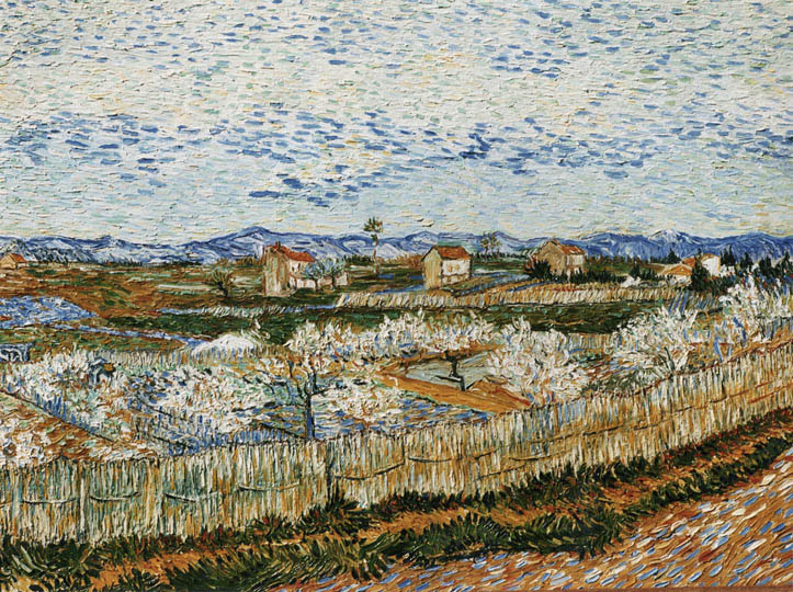 Riproduzione, Copia, Rivisitazioni, Falsi d'Autore olio su tela di Vincent Van Gogh by Ida Parigi: Piana della Crau con Peschi in Fiore