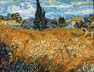 Reproductions and Copies of masterpieces oil on canvas Vincent Van Gogh revisited by Ida Parigi’s paintings: Green Wheat Field